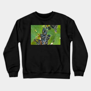 grapes Crewneck Sweatshirt